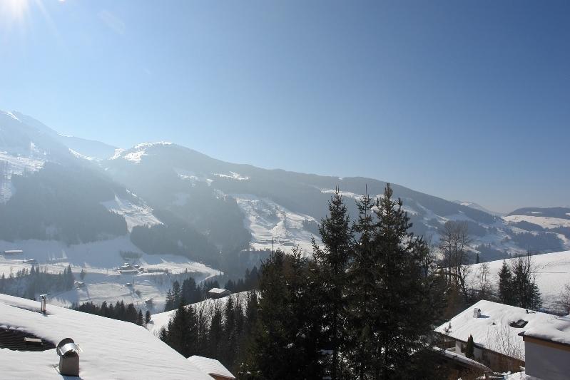 Апартаменты Alpbach 646 Номер фото
